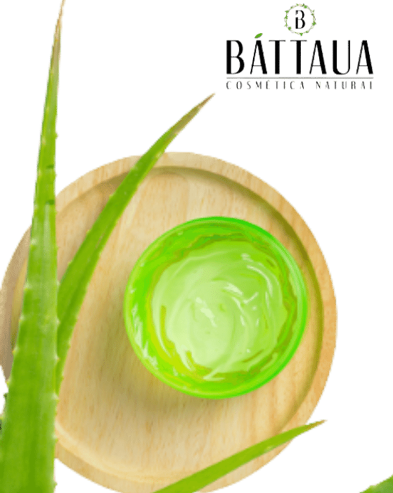 Sin título (559 × 700 px)